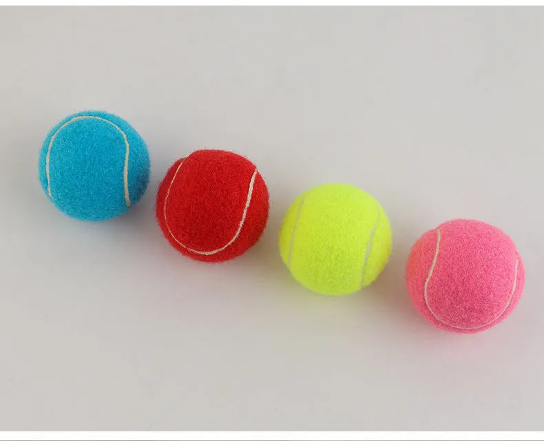 6.3cm diameter dog tennis ball toy in five colour options including fluorescent green, made from bite-resistant rubber.