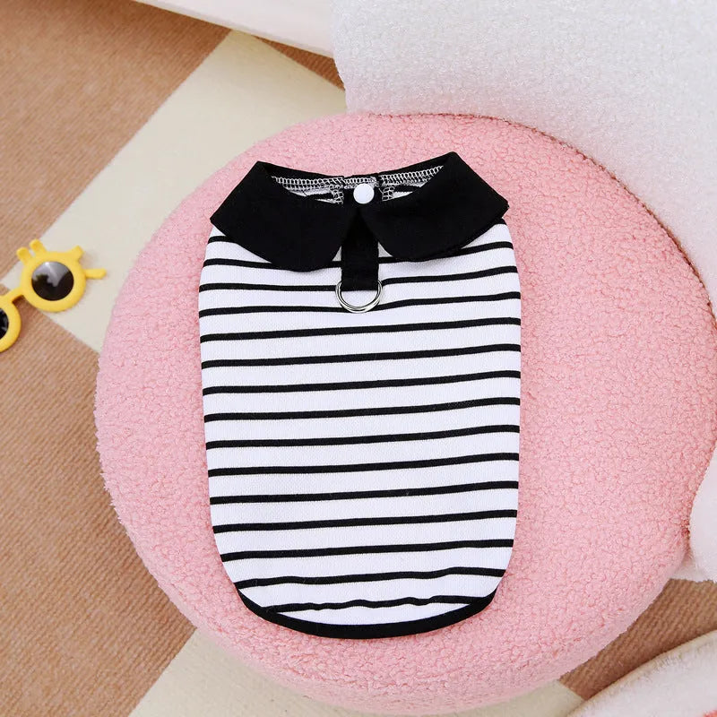 Dog wearing a striped cotton t-shirt and matching skirt from a casual summer two-piece pet clothing set.