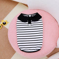 Dog wearing a striped cotton t-shirt and matching skirt from a casual summer two-piece pet clothing set.
