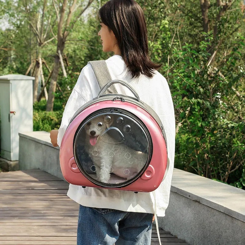 Transparent space capsule cat carrier bag in PC canvas with metallic colour options