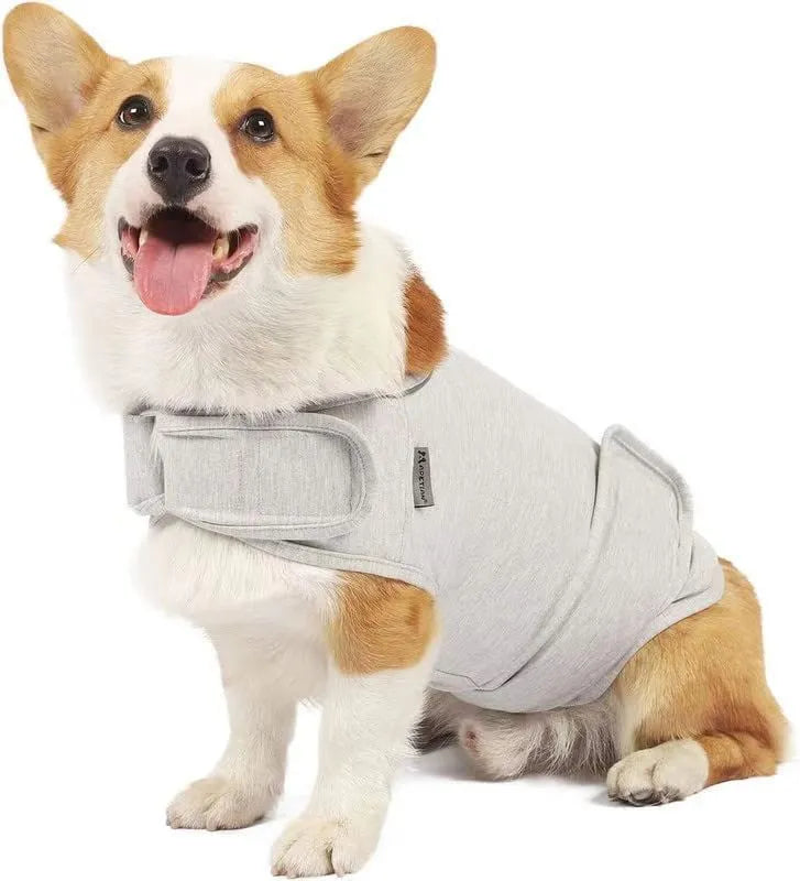 Dog wearing brown cotton-blend anxiety vest for separation relief