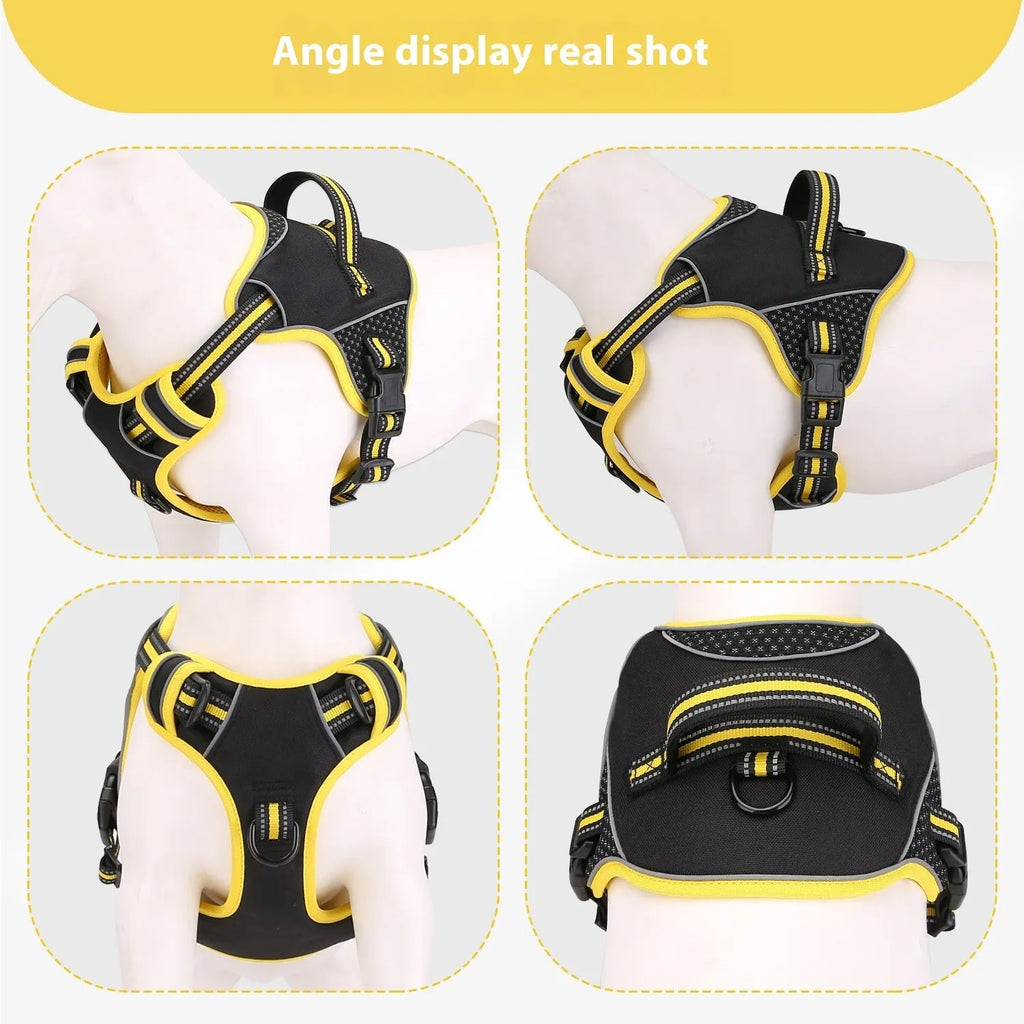 Orange polyester dog harness with traction strap adjusted on a dog for outdoor walking.