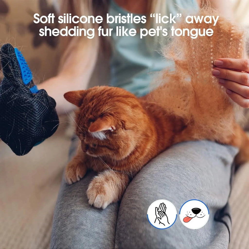 Blue pet grooming glove with silicone tips for dog and cat hair removal