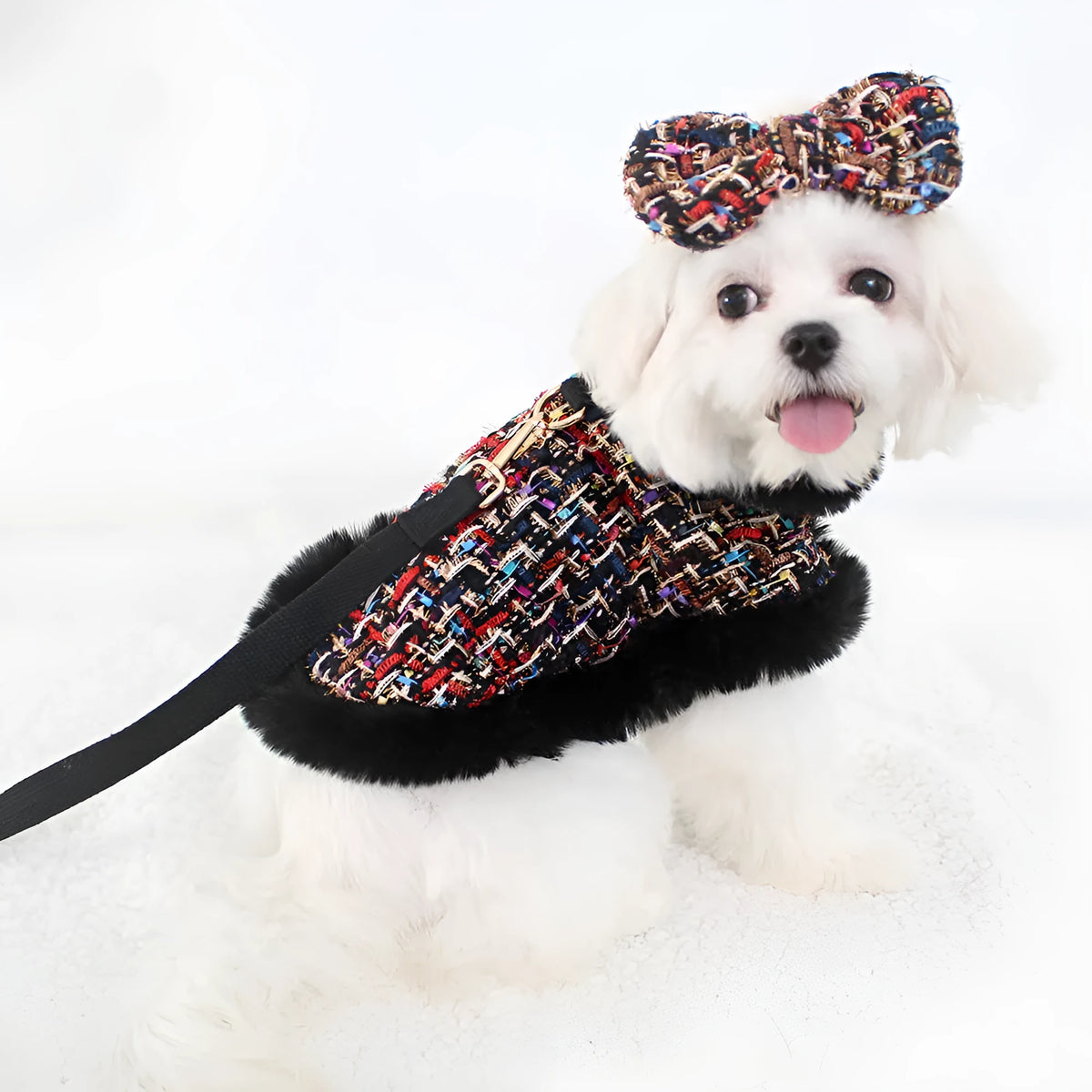 Classic-style dog wearing a cloth cloak with a chest strap and handheld lead.
