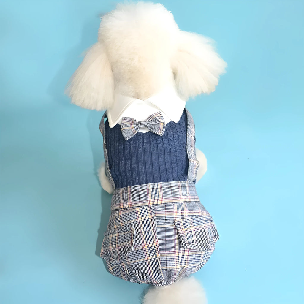 Orange cotton dog suit shirt for small dogs laid flat showing simple shirt design