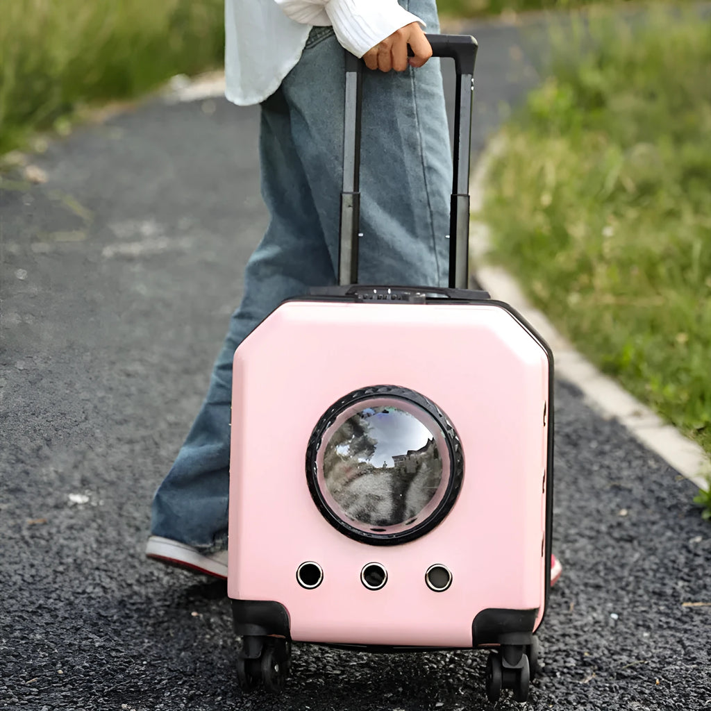 Hard PVC pet flight case in burgundy colour with 15-litre capacity and luggage compartment