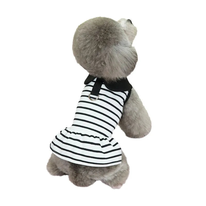 Dog wearing a striped cotton t-shirt and matching skirt from a casual summer two-piece pet clothing set.