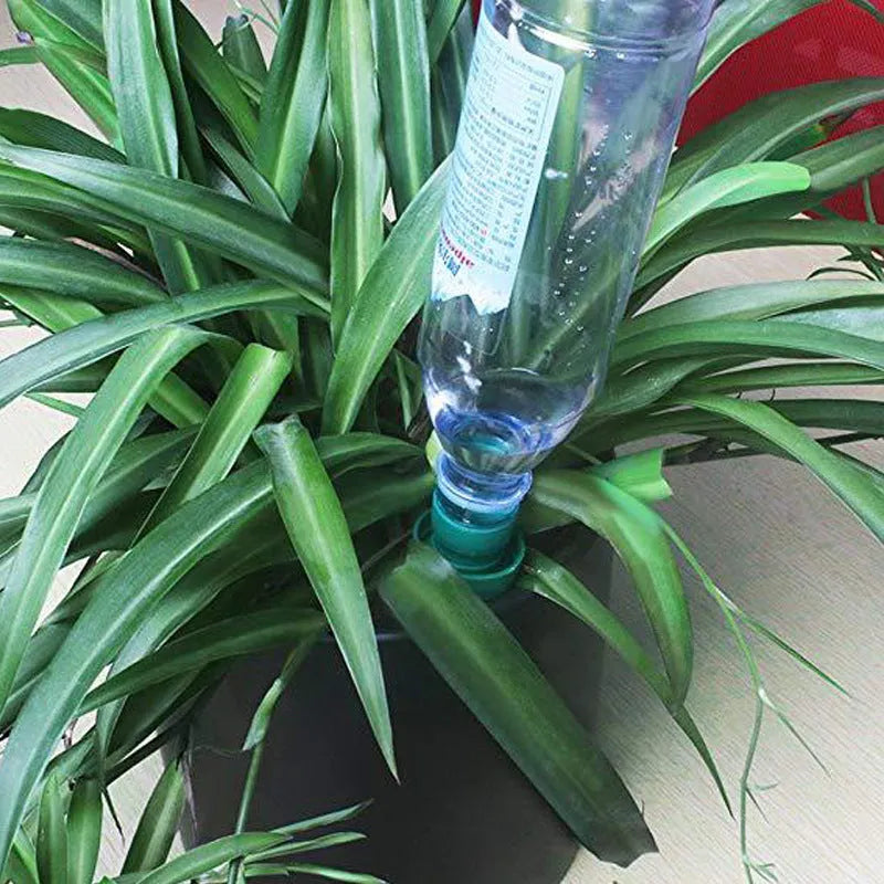 Green ceramic automatic water dripper for plant irrigation using cola bottles