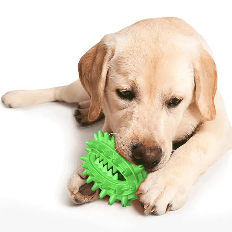 Green cactus-shaped dog chew toy with textured bumps for dental cleaning