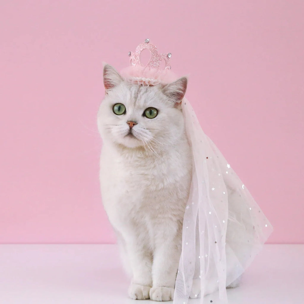 Pet cat wearing princess crown headdress with crown veil in beige colour option