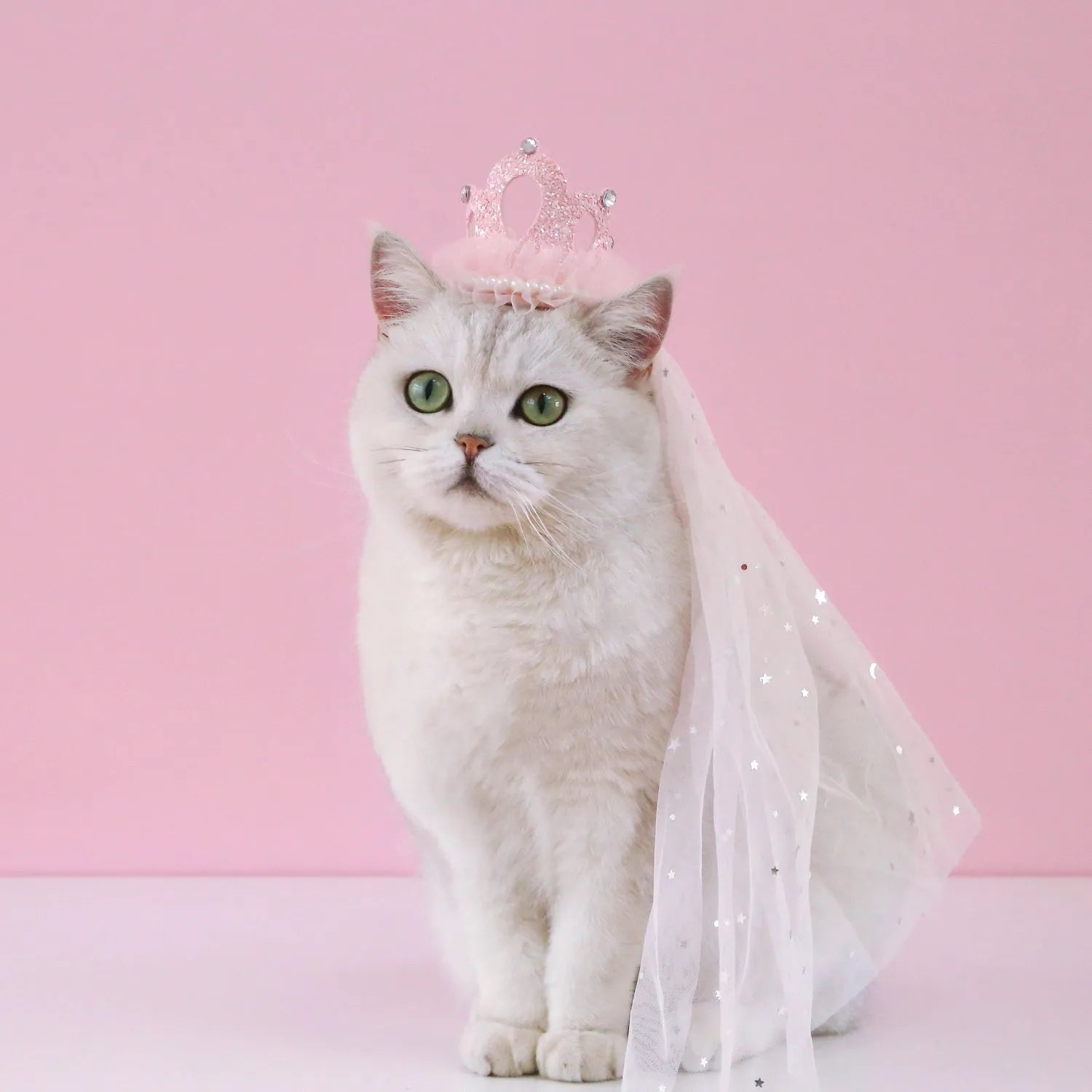Pet cat wearing princess crown headdress with crown veil in beige colour option