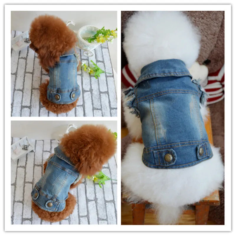 Denim dog vest with retro scratch pattern shown in dark wash colour on small breed dog