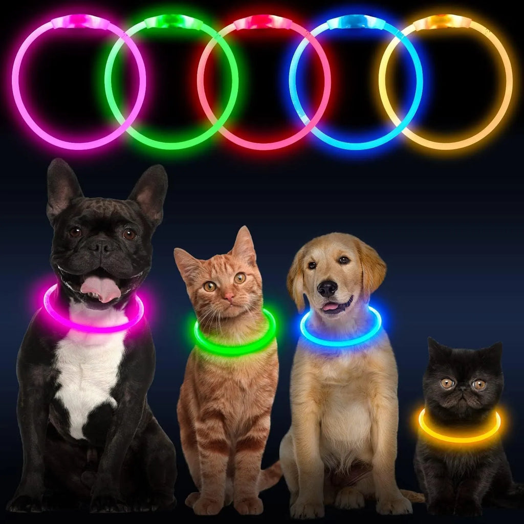 USB-rechargeable LED dog collar glowing blue with adjustable length for night safety