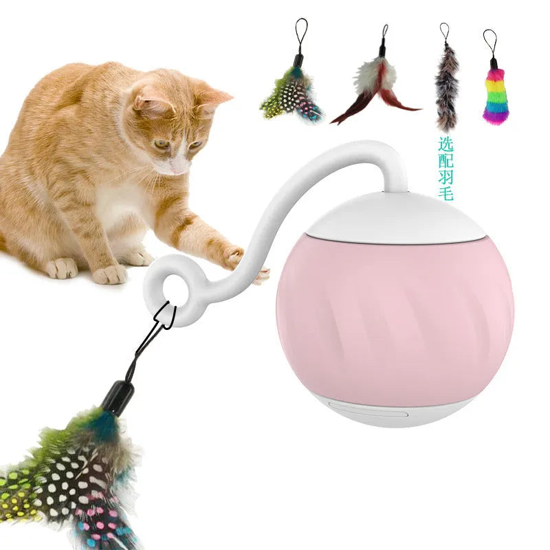 Electric cat toy with luminous ball in watermelon and pumpkin colour designs for indoor feline entertainment