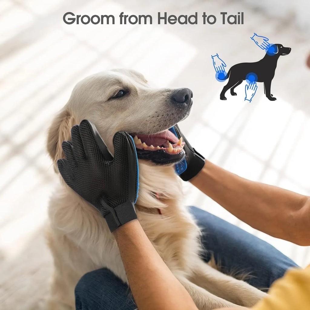 Blue pet grooming glove with silicone tips for dog and cat hair removal