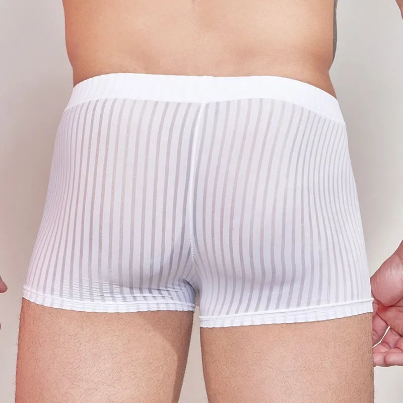 Men's striped underwear in thin transparent nylon, shown in black, dark grey, and white.