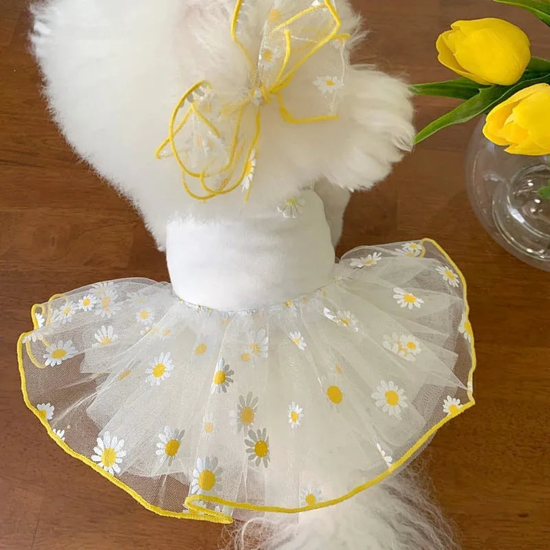 Yellow daisy patterned dog clothes for summer wear on small medium breed dog