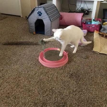 Blue cat scratcher toy with circular ball track and replaceable corrugated cardboard scratching pad