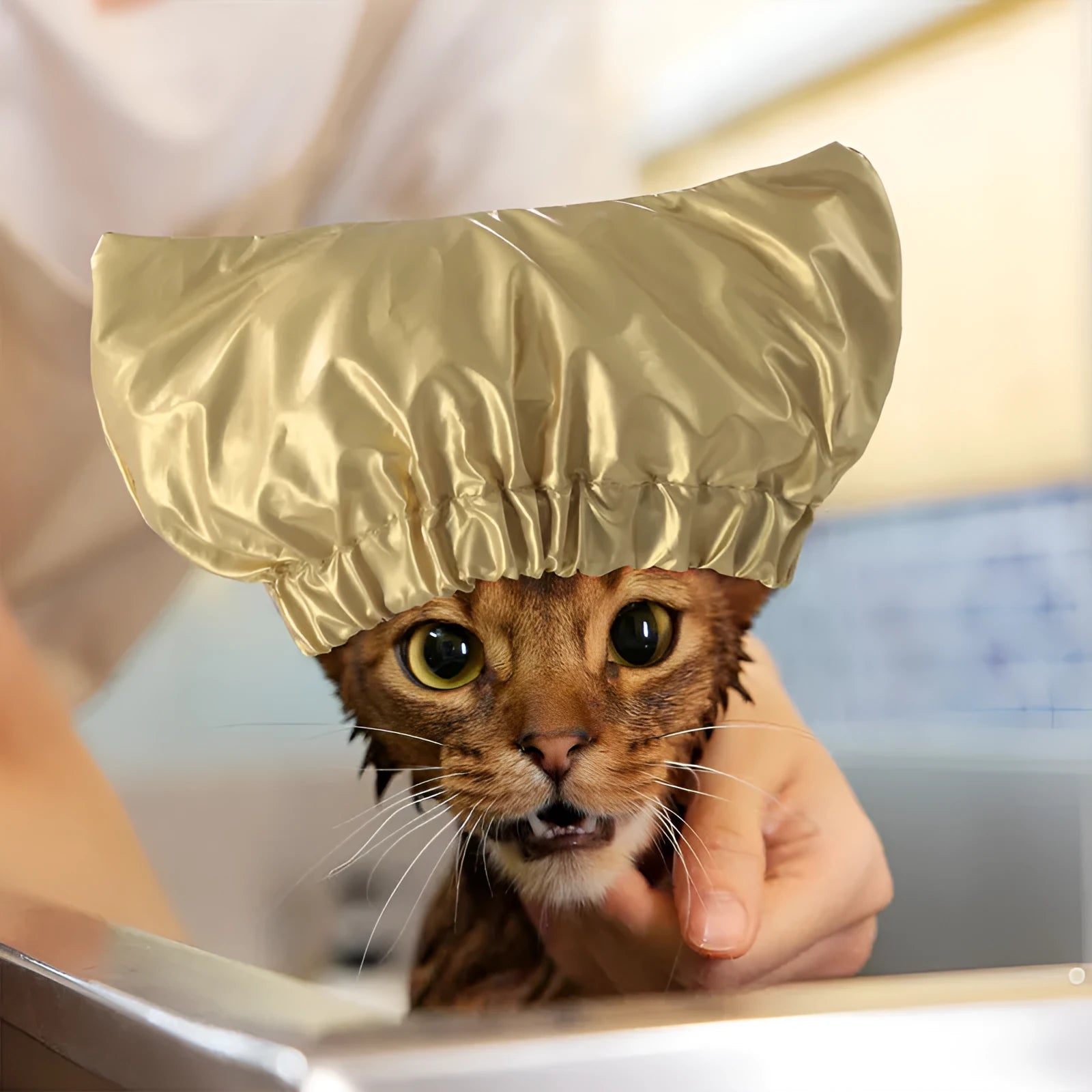 Adjustable waterproof shower cap for cats and dogs in non-woven fabric with ear protection