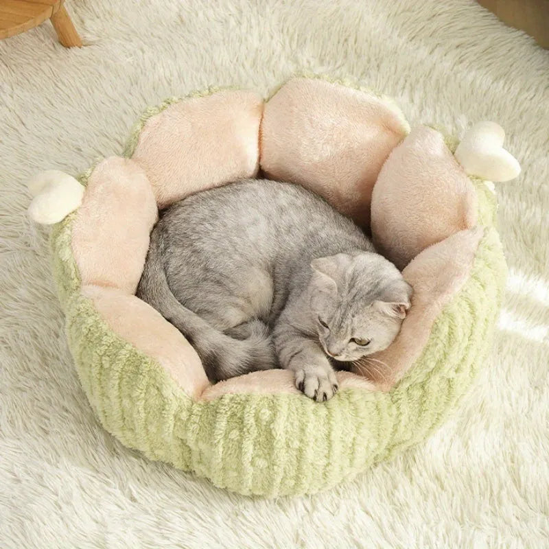 Green or purple cactus-shaped soft pet kennel for cats and dogs, shown in large and small size options.