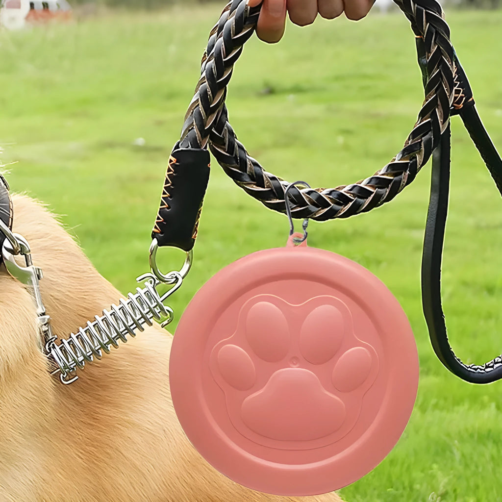 Green and pink portable plastic dog bowl with a snap-shut lid for travel