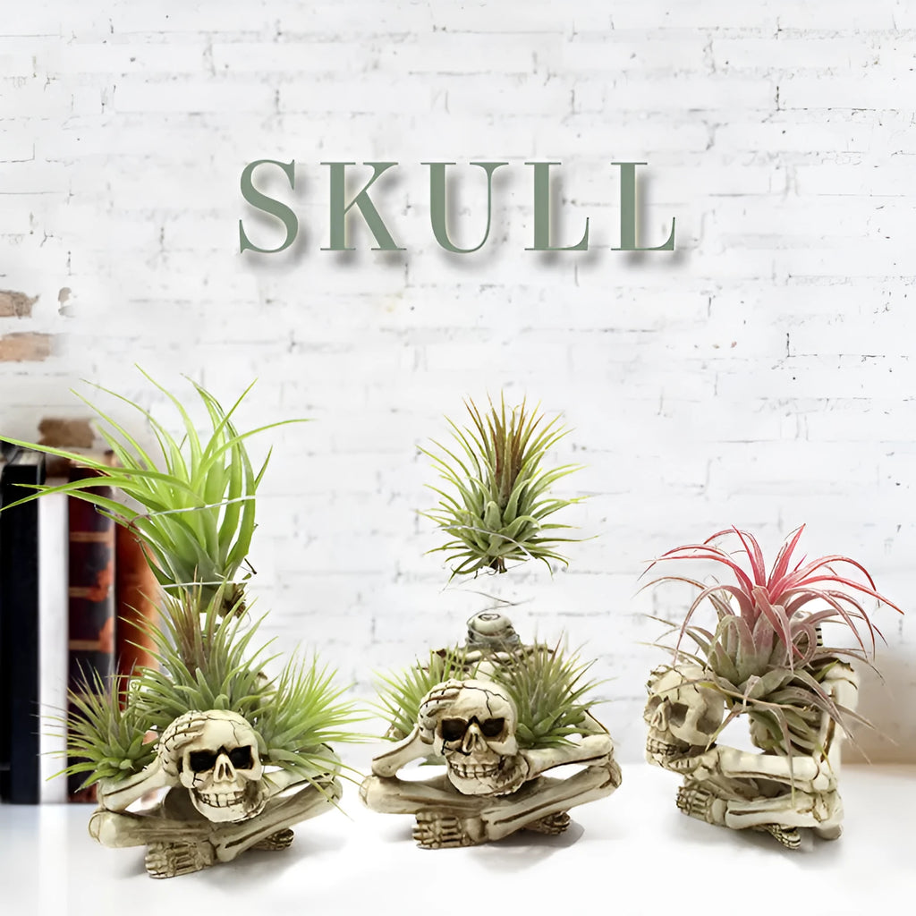 Gothic skull design resin bracket for tillandsia plants with iron stand
