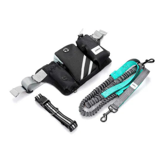 Black nylon outdoor pet training waist bag with integrated dog walking leash