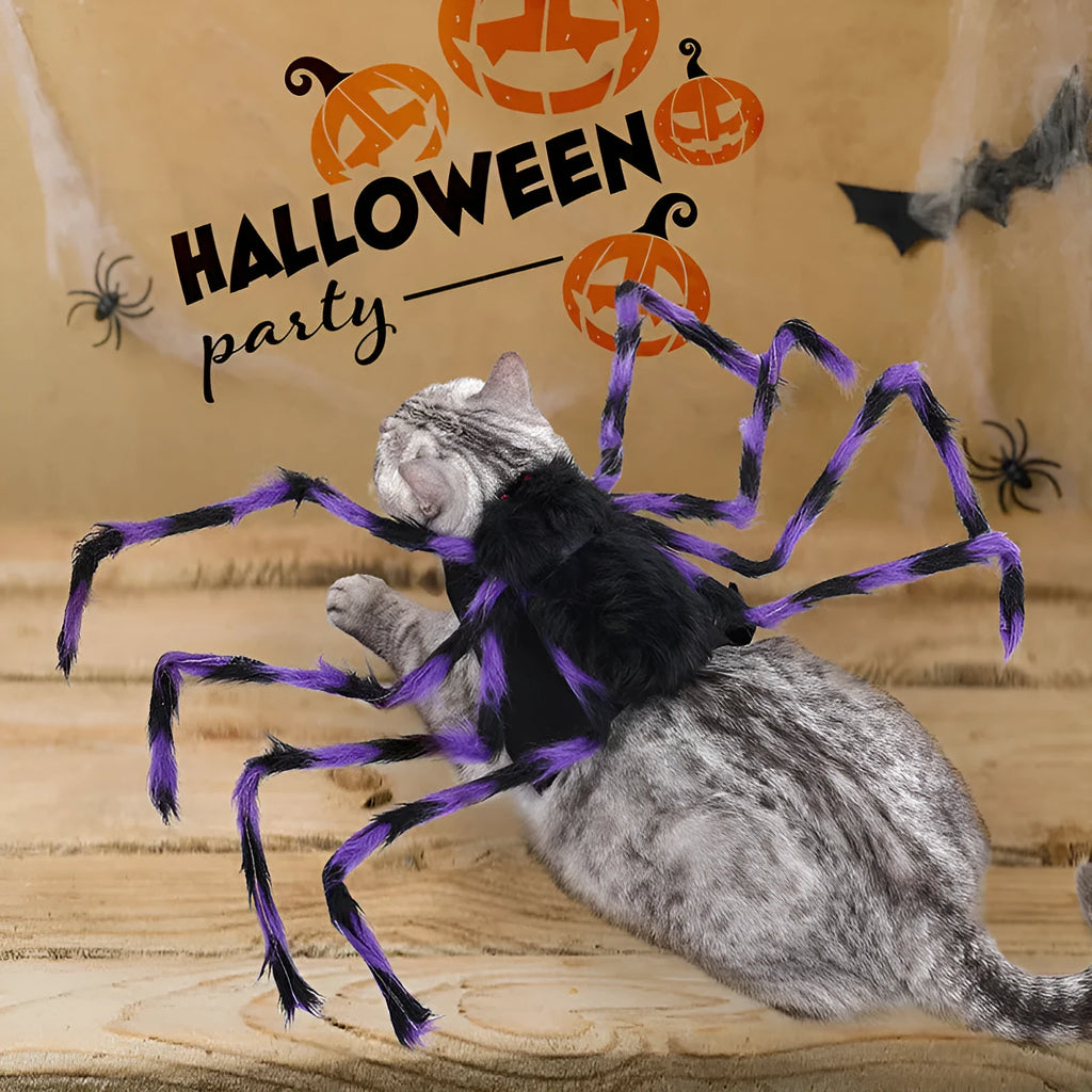 Halloween spider costume for pets in four colour options with three size choices