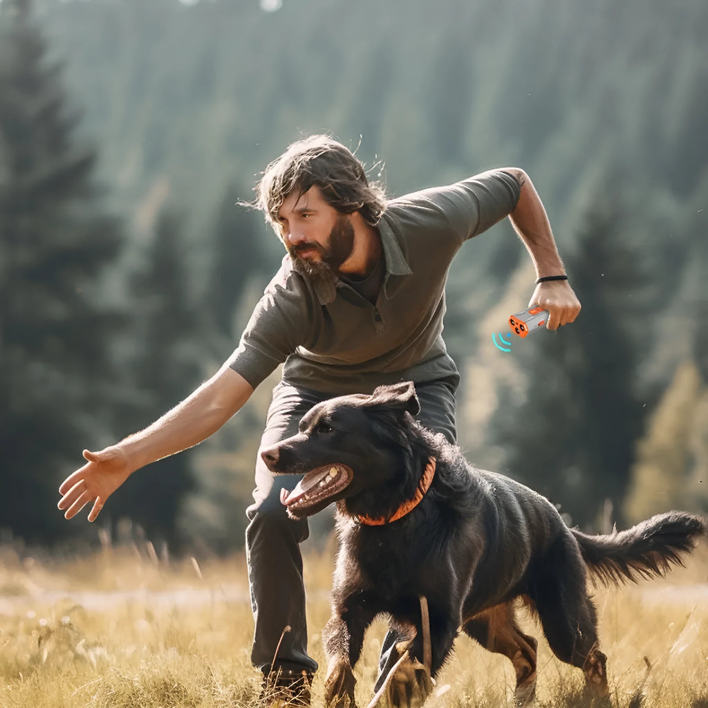 Ultrasonic dog trainer remote control device in grey orange or black orange colour options
