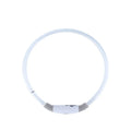 USB-rechargeable LED dog collar glowing blue with adjustable length for night safety