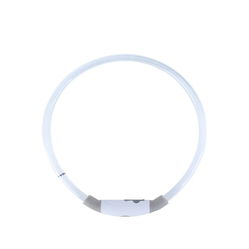 USB-rechargeable LED dog collar glowing blue with adjustable length for night safety