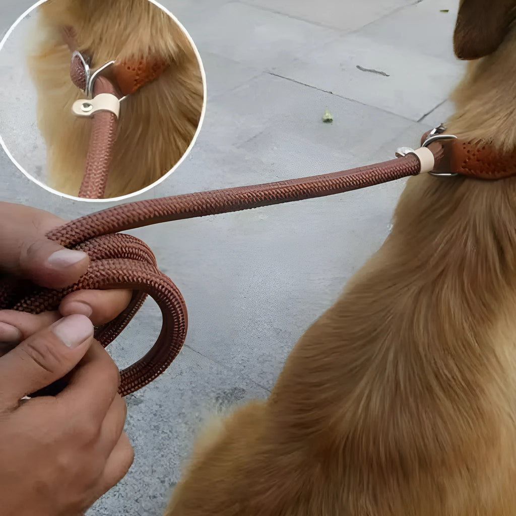Brown nylon P chain dog leash with hand holding rope measuring 2.1 metres