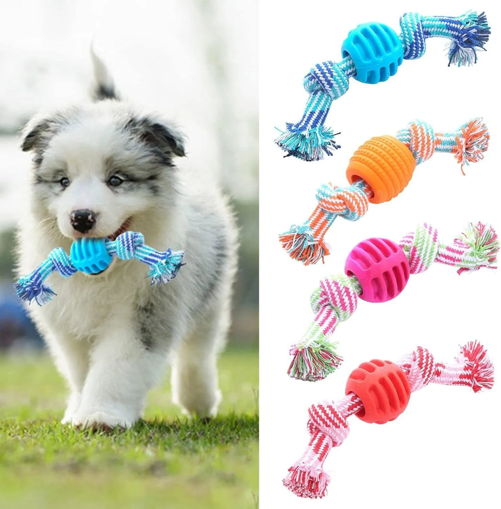 Blue dog chew toy with rope handles and textured surfaces for dental cleaning