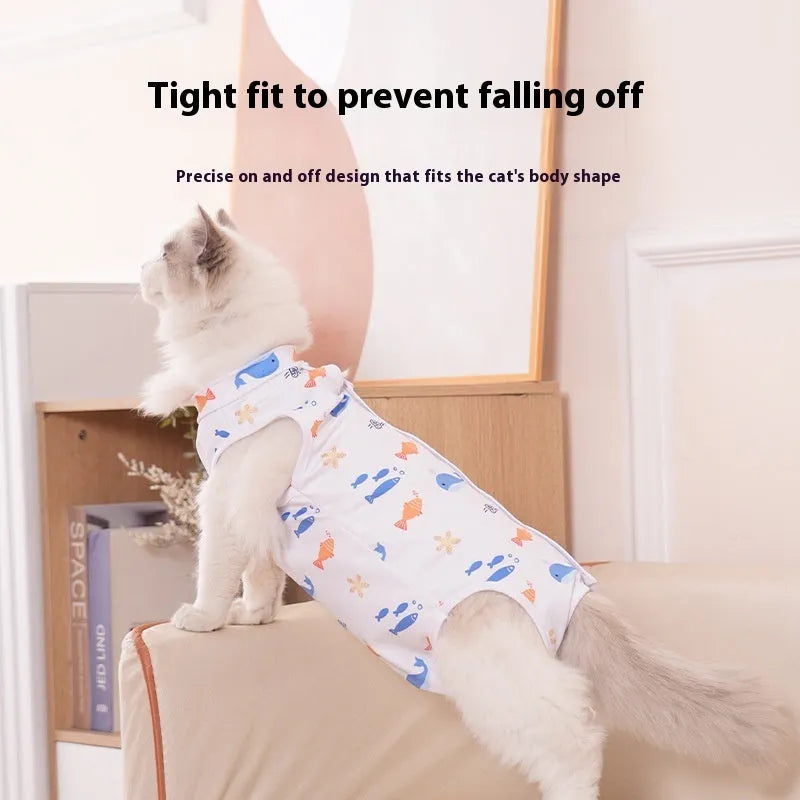 Cat wearing a printed polyester recovery suit with Velcro fastenings after sterilisation surgery.