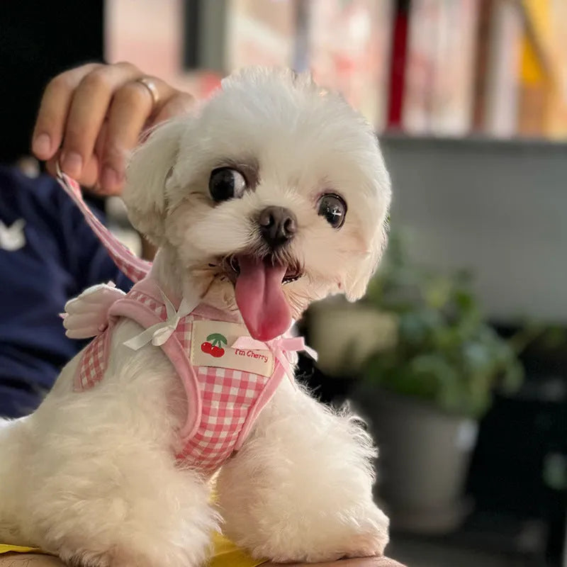 Small dog chest and back harness with hand holding rope in cotton material