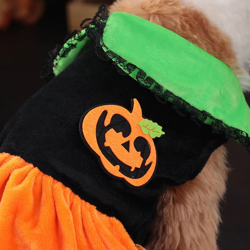 Crystal velvet pet Halloween costume showing pumpkin skirt and sweater options for small dogs and cats