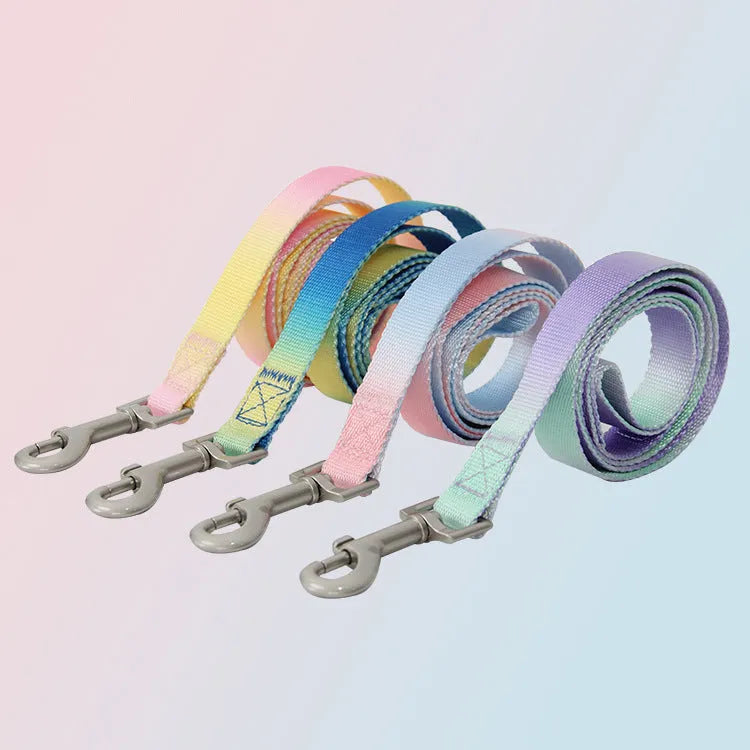 Nylon dog leash and collar set in a gradient colour design of blue and pink