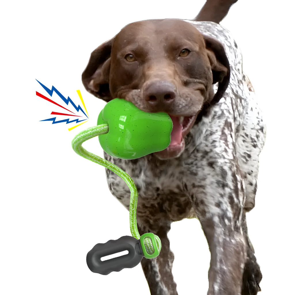 Green and red apple-shaped plastic dog toy with hollow treat-dispensing interior and squeaky sound mechanism