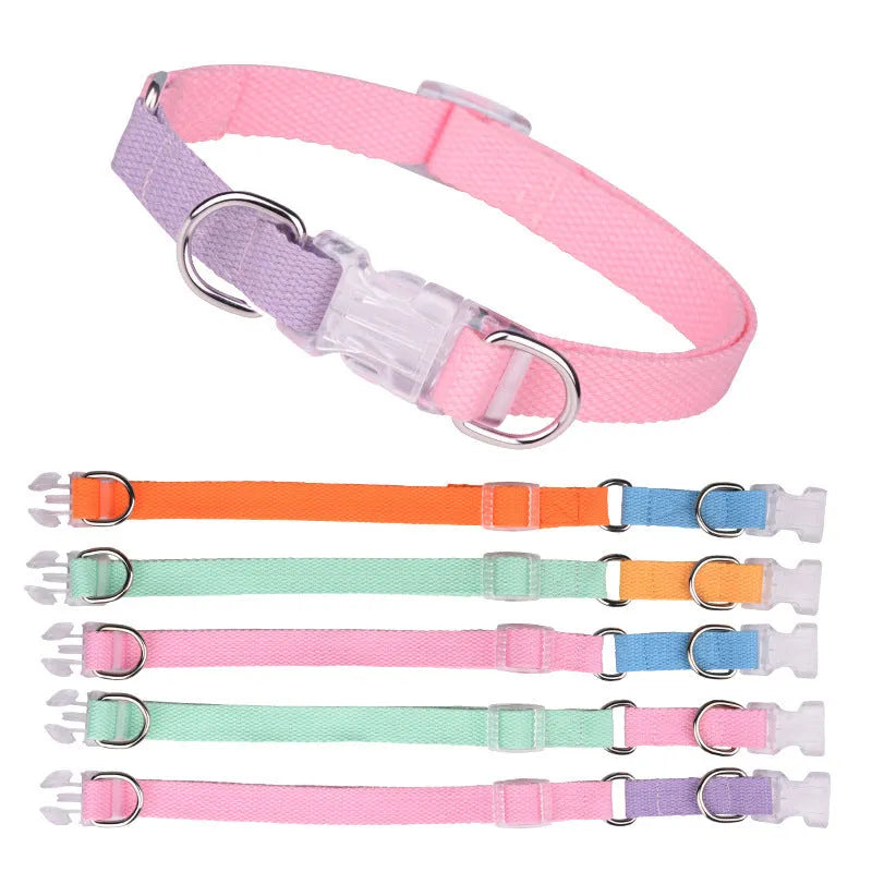Polyester ribbon dog collar set with matching lead and chest strap in multicolour combination
