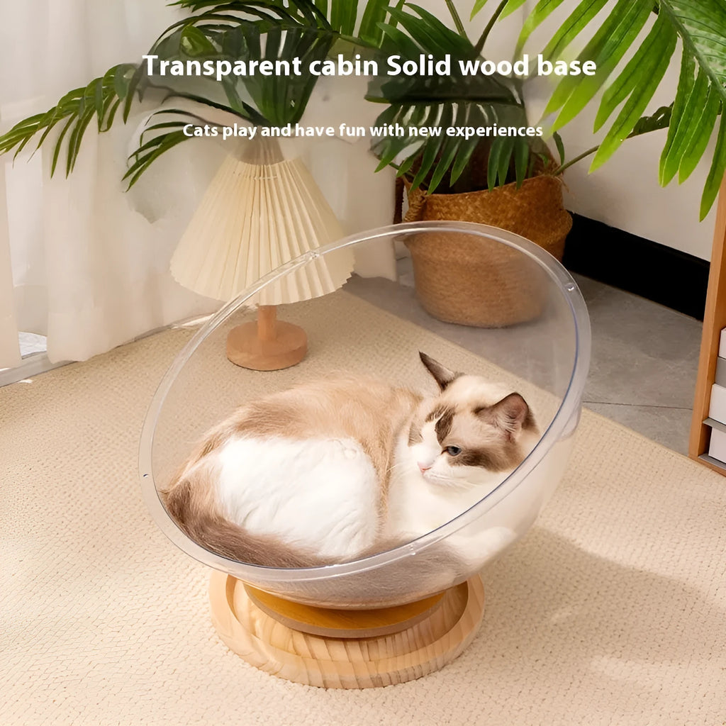 Transparent acrylic cat space capsule bed with a turntable base on a wooden floor.
