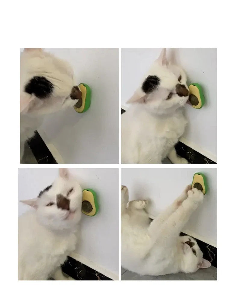 Avocado Cat Mint Catnip Toy 27mm rotating self-healing ABS ball for cats