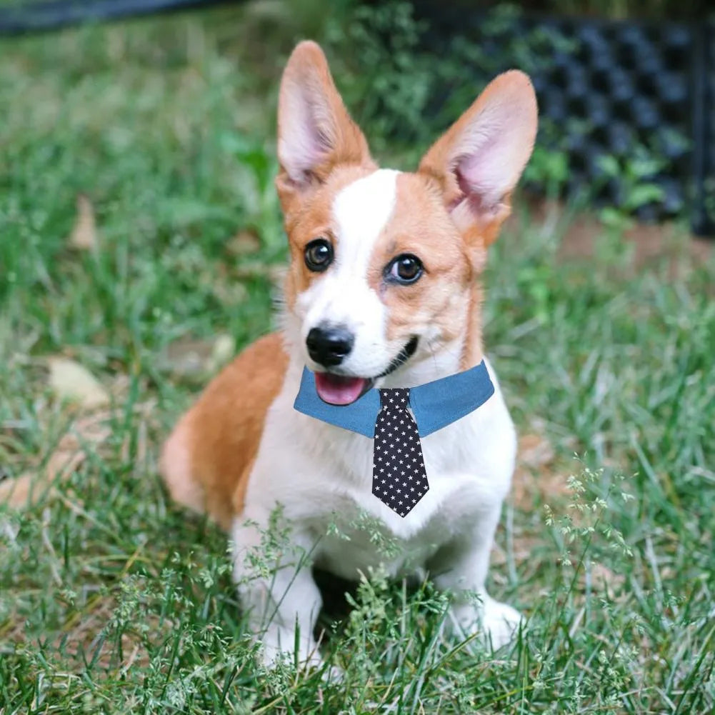 Denim dog collar with star pattern necktie in bow style, adjustable sizing for formal events