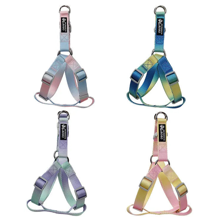 Nylon dog leash and collar set in a gradient colour design of blue and pink