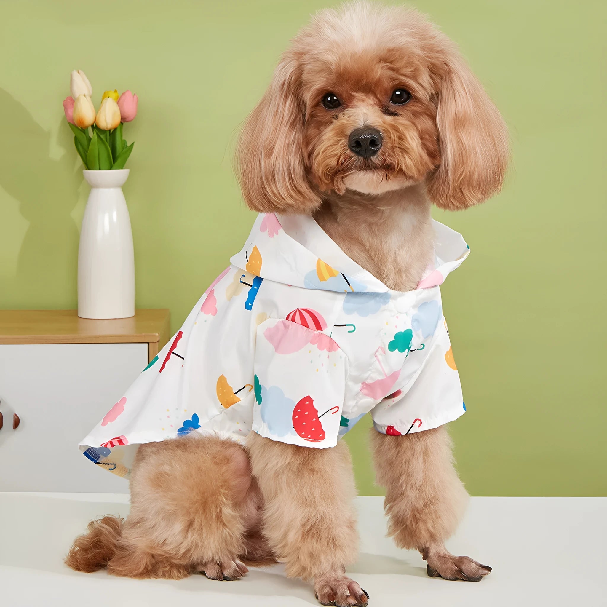 Colourful cartoon umbrella pattern pet dog raincoat in polyester material