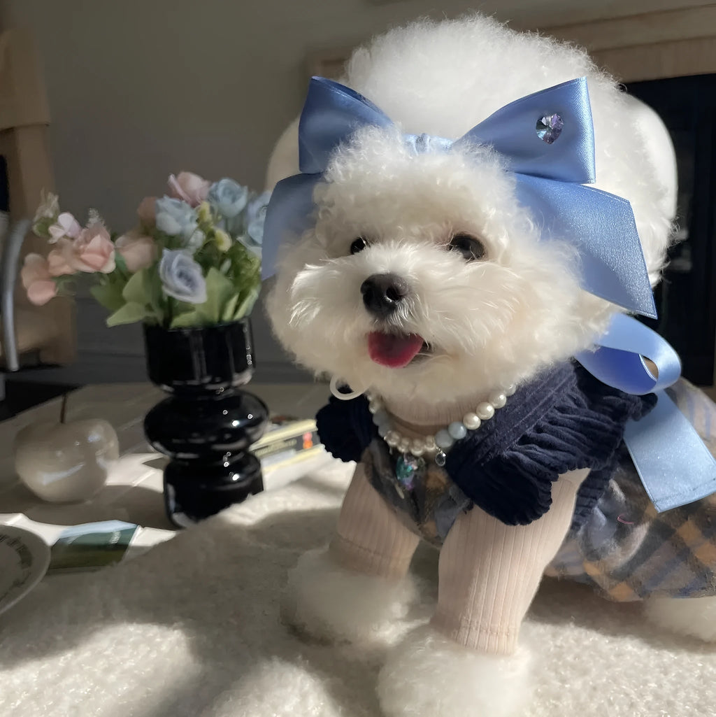 Adjustable princess style dog hair band with bow decoration in blue or pink colours