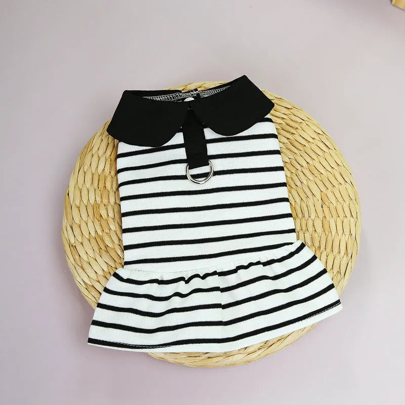 Dog wearing a striped cotton t-shirt and matching skirt from a casual summer two-piece pet clothing set.