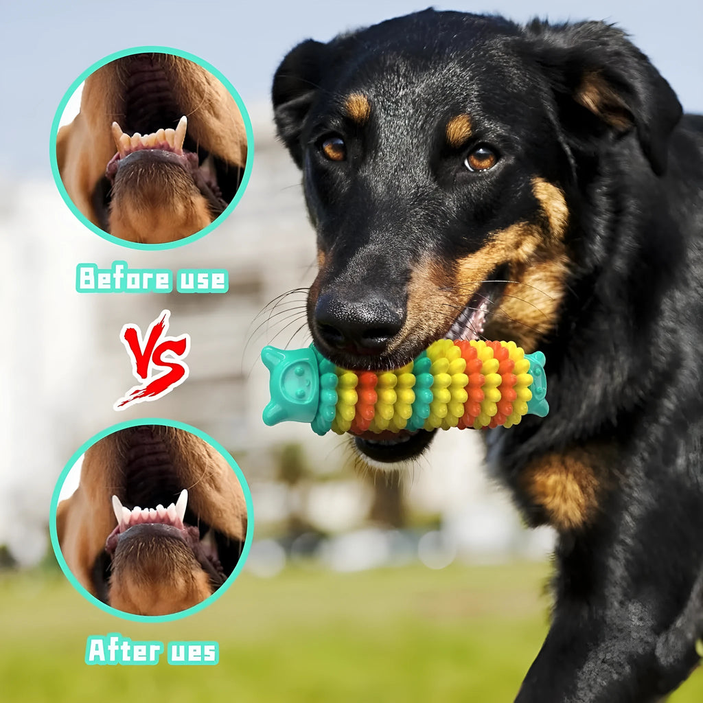 Blue caterpillar-shaped rubber dog chew toy for aggressive chewers, shown with textured surface.