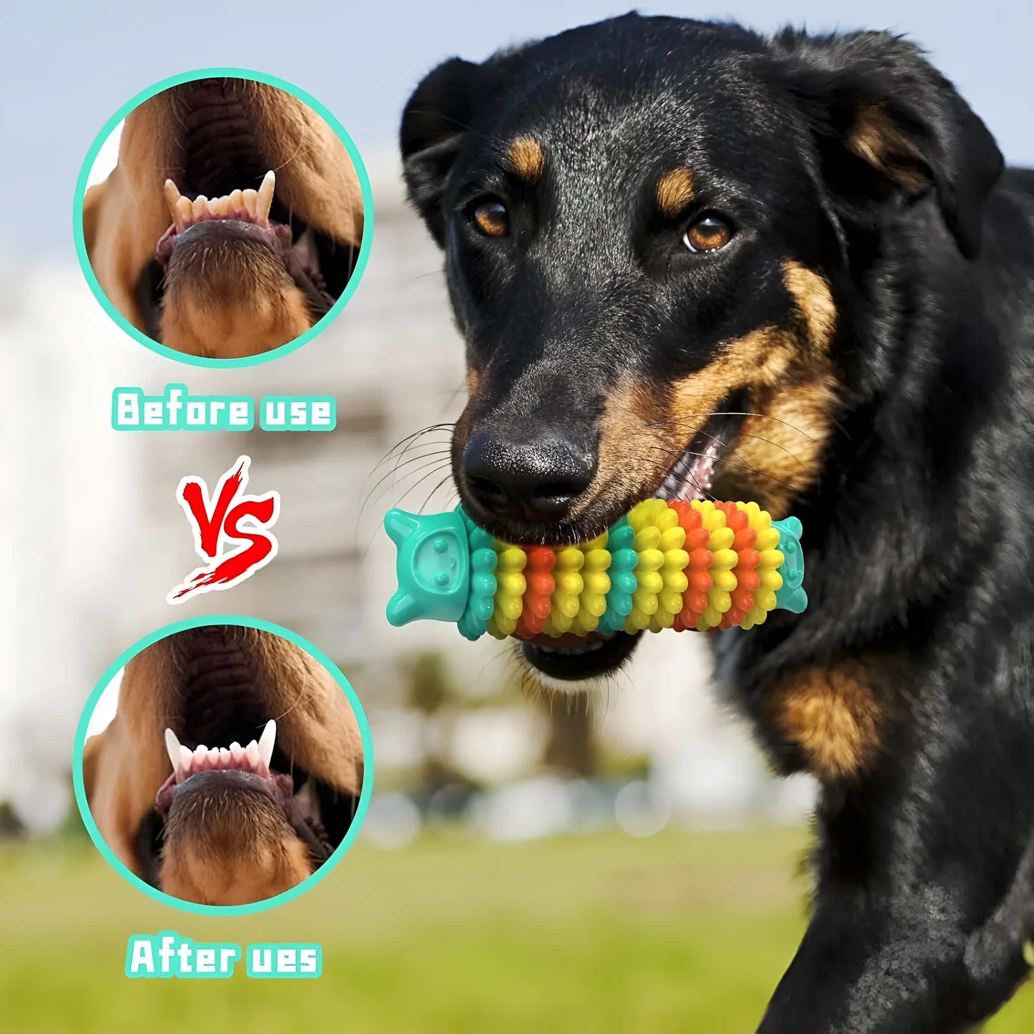 Blue caterpillar-shaped rubber dog chew toy for aggressive chewers, shown with textured surface.