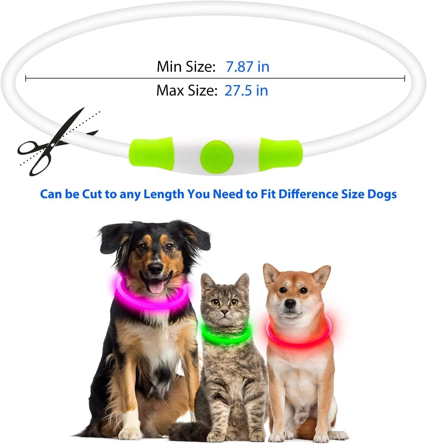 USB-rechargeable LED dog collar glowing blue with adjustable length for night safety