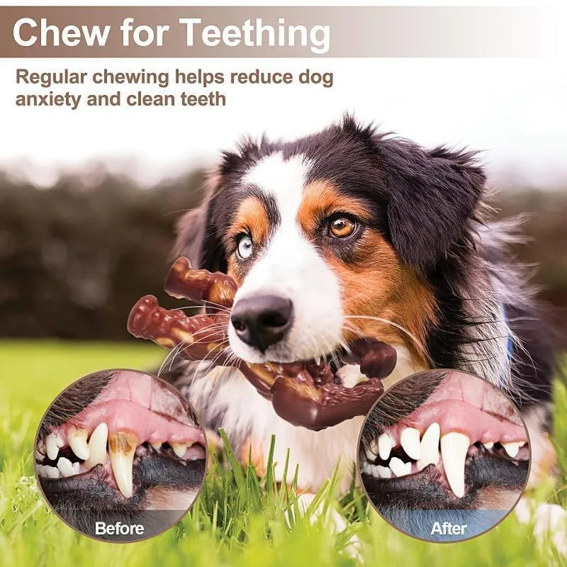 Scarlet nylon dog chew toy with beef flavour scent, measuring 10.7x17.2x5 cm for medium and large breeds